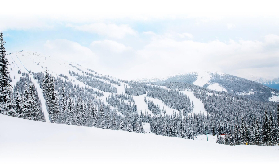 Wintersport Marmot Basin